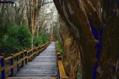 PN Los Arrayanes. NeuquÃ©n. Argentina
