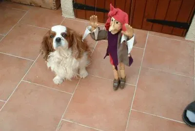 פאזל של bouffon