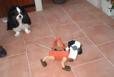 פאזל של chakamin