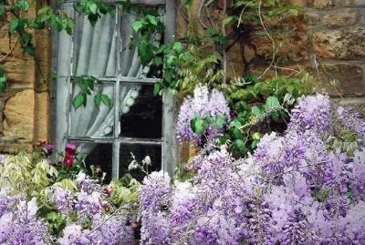 פאזל של NÂº 866