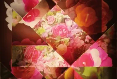250 jigsaw puzzle