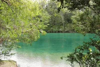 PN Los Alerces. Chubut. Argentina jigsaw puzzle