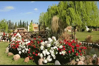 En San Rafael. Mendoza. Argentina