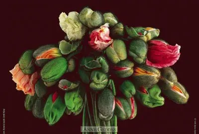 boccioli
