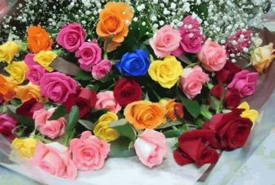 flores