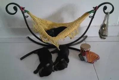 פאזל של De mi amiga Chary