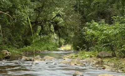 Anta. Salta. Argentina