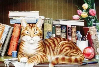 libri jigsaw puzzle