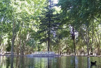En RÃ­o Cuarto. CÃ³rdoba. Argentina