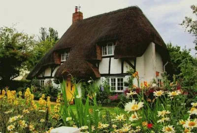 NÂº 892 jigsaw puzzle