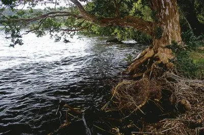 PN Los Arrayanes. NeuquÃ©n. Argentina jigsaw puzzle