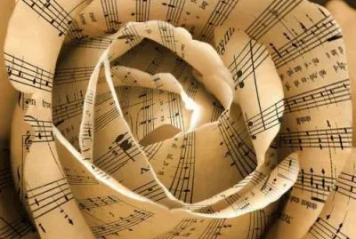 Musical Rose