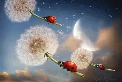 פאזל של Auf und davon