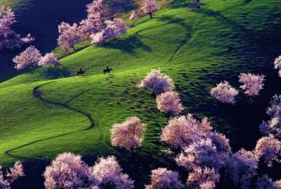 paisagem