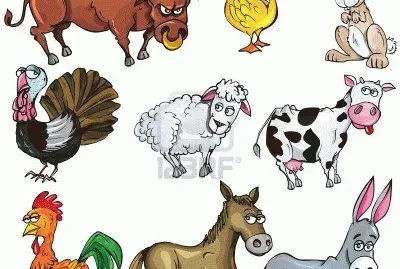 rancho jigsaw puzzle