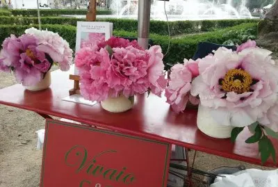 פאזל של Peonie