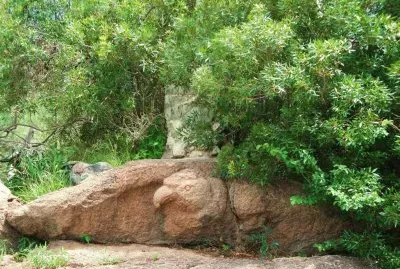 En Capilla del Monte. CÃ³rdoba. Argentina