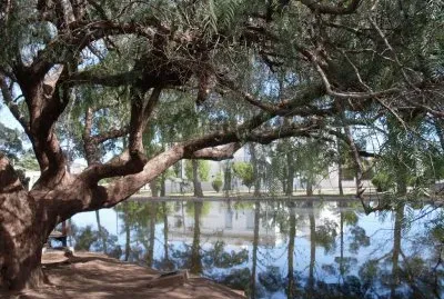 En Tornquist. Buenos Aires. Argentina jigsaw puzzle