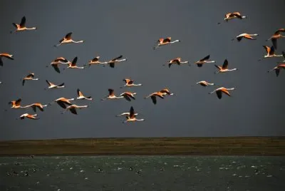 huyendo de la tormenta jigsaw puzzle