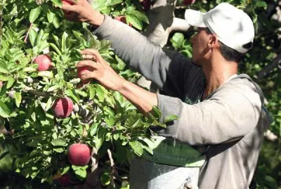 Â¡FELIZ DÃA DEL TRABAJO!