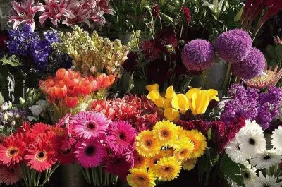 פאזל של FaraÃ³n