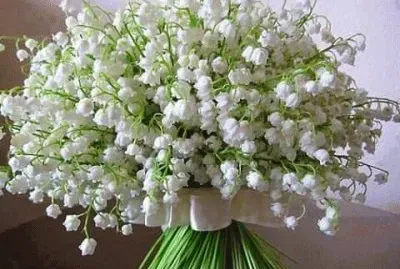 1er Mai