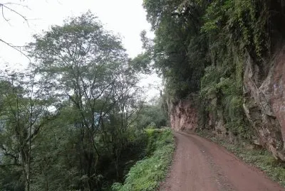 PN Calilegua. Jujuy. Argentina