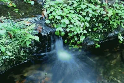 Arroyo en la Provincia de Catamarca. Argentina