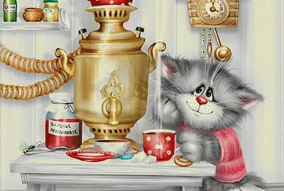 gato