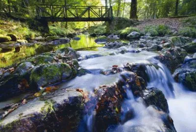 En Cantabria. EspaÃ±a
