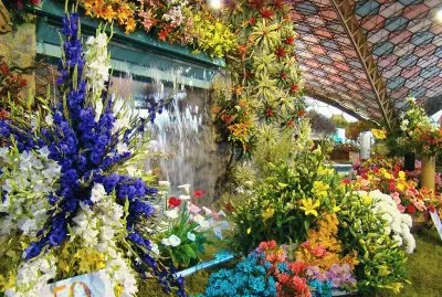 En Escobar. Buenos Aires. Argentina