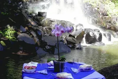 En la Provincia de Misiones. Argentina