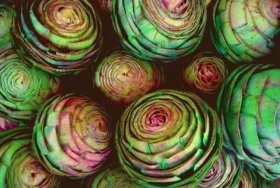Artichokes