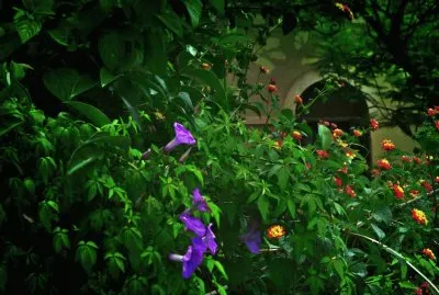 En Alta Gracia. CÃ³rdoba. Argentina