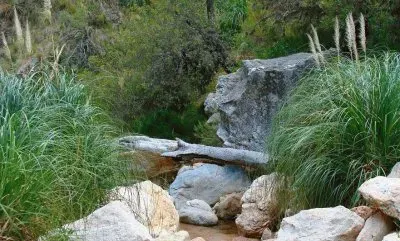 En Villa Larca. San Luis. Argentina