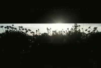 controluce dalla zanzariera