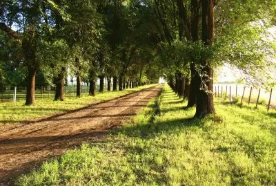 Las Parejas. Santa Fe. Argentina