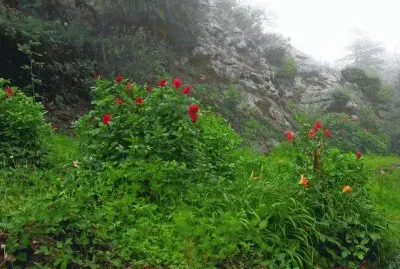 Calamuchita. CÃ³rdoba. Argentina