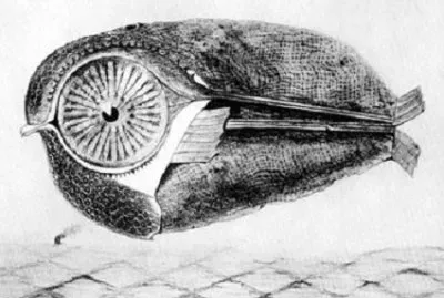 242