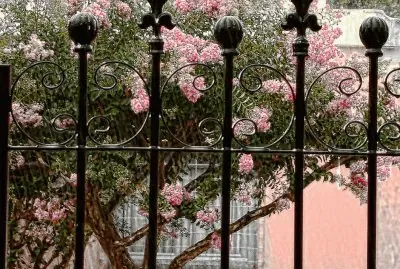 En la Ciudad de CÃ³rdoba. Argentina jigsaw puzzle