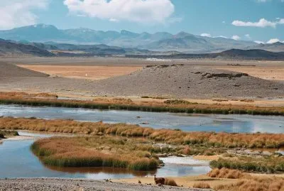 Antofagasta de la Sierra. Catamarca. Argentina jigsaw puzzle