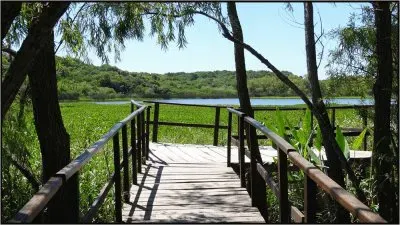 PN Pre Delta. Entre RÃ­os. Argentina jigsaw puzzle