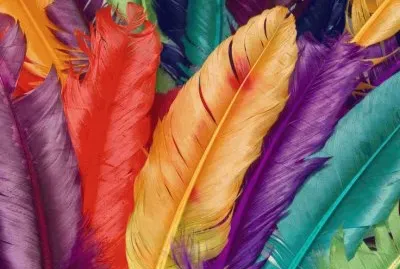 Jewel Tone Feathers