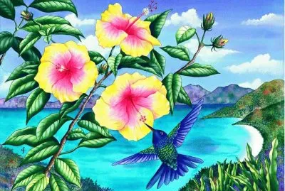 Flowers and Hummingbirds