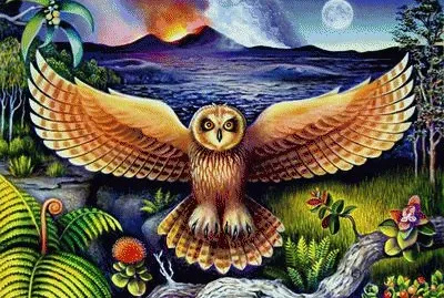 Pueo Kahu by Jessica Taruni