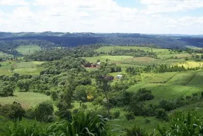 En el camino a MoconÃ¡. Misiones. Argentina