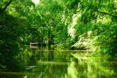 El Delta en la Provincia de Buenos Aires. Argentina
