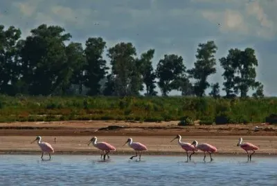 פאזל של Mar Chiquita. CÃ³rdoba. Argentina