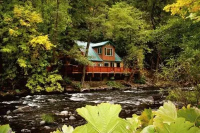 פאזל של NÂº 985