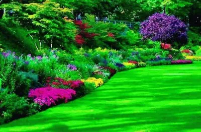 jardim